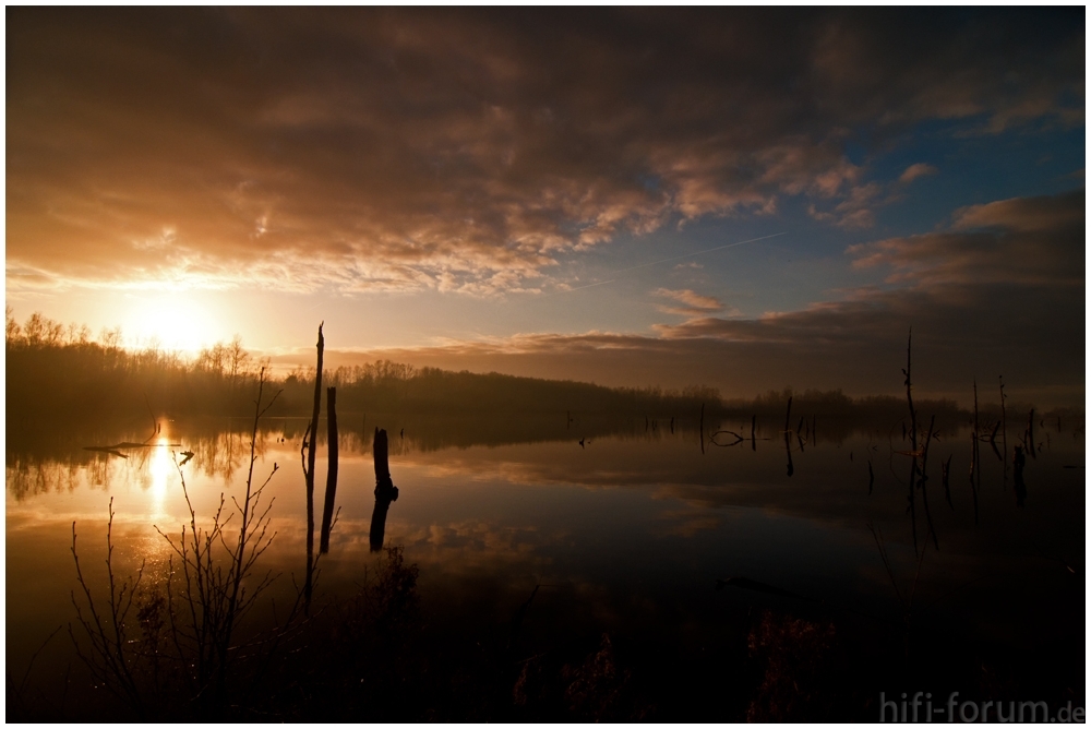 Les Marais D Harchies Dharchies Les Marais Naturschutzgebiet Hifi Forum De Bildergalerie