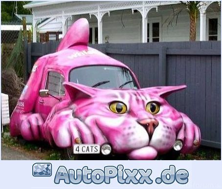 Katze Mit Auto