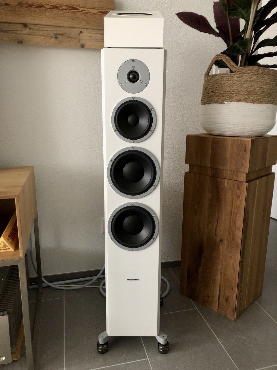 Dynaudio X38 & IsoAcoustics Gaia III | dynaudio, gaia, iii