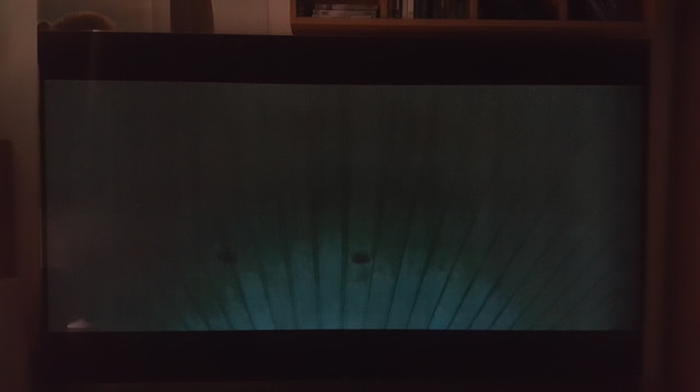 20170711 174913