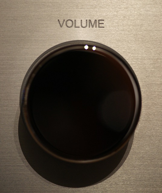 AVM A6 Volume
