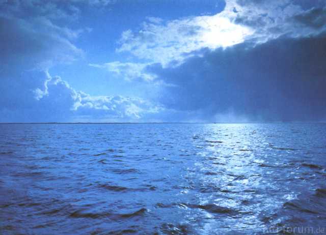 meer