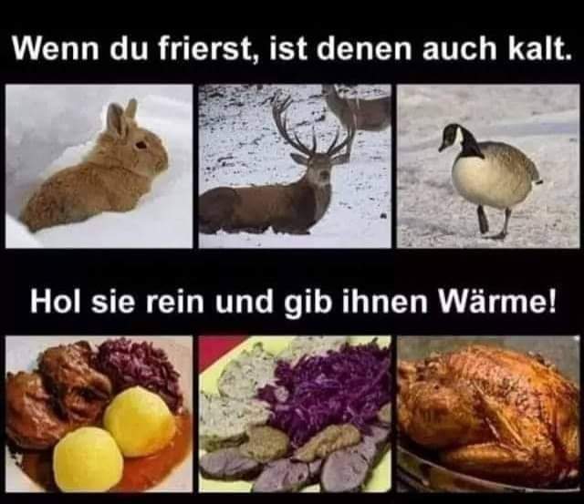 Wenn Du frierst... 