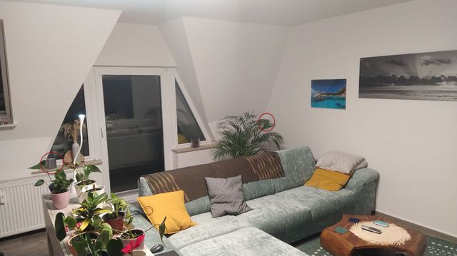 Ansicht Back