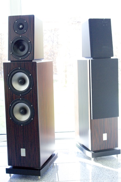Sonics Allegra Ebony