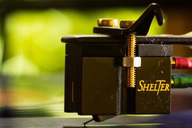 Shelter 501