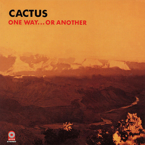 cactus-one-way-or-another