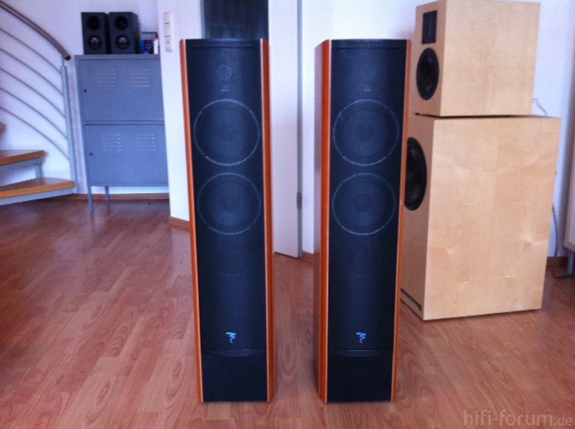 Focal 816 Jubilee Front Mit Gittern