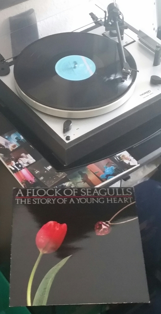 A FLOCK OF SEAGULLS The Story Of A Young Heart (1984)