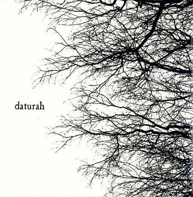 daturah - daturah