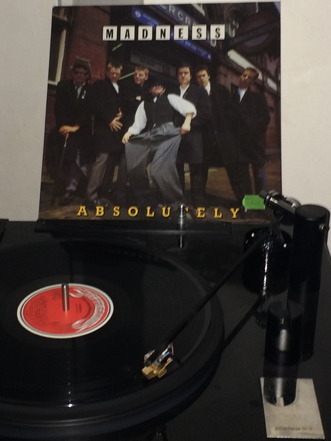 Madness - Absolutely