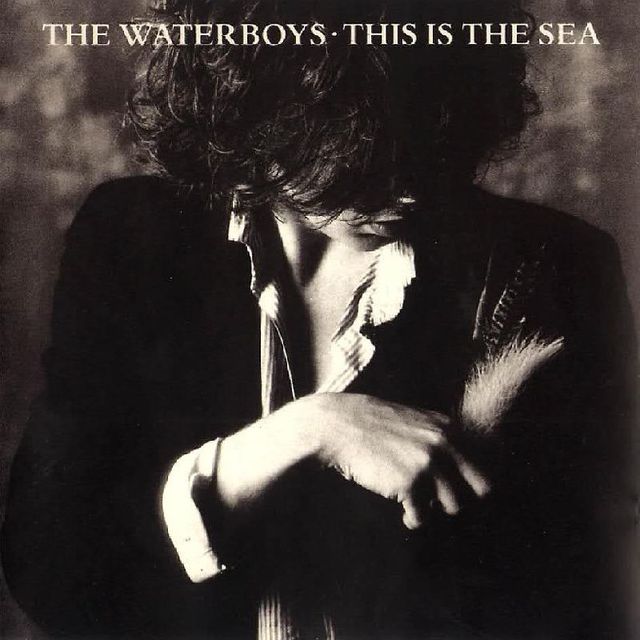 The Waterboys - This Is The Sea