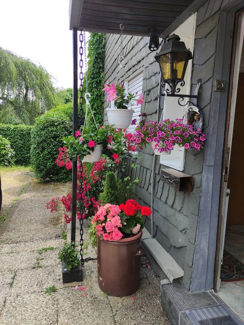 Bilder Von Unserem Garten