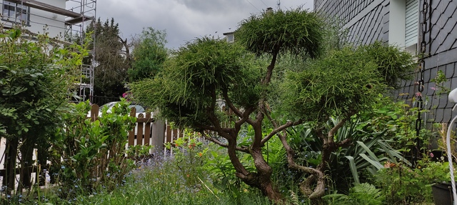 Bilder Von Unserem Garten