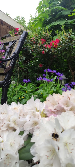 Bilder Von Unserem Garten