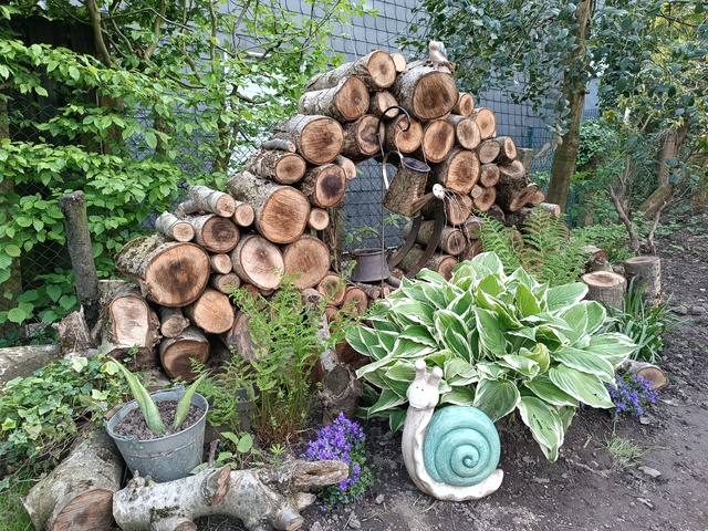 Garten Projekt 