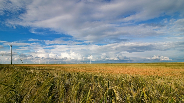 Erde+Himmel