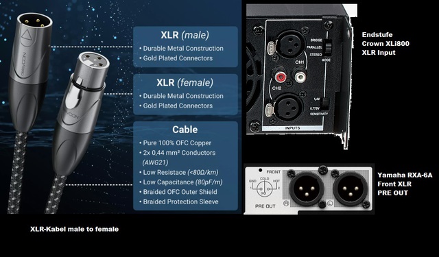 XLR