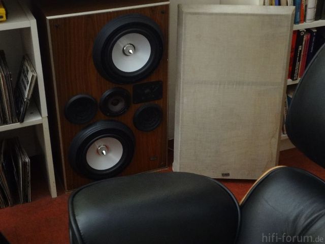 Dynaudio P46 Mit TT Kenford Dyg820a 