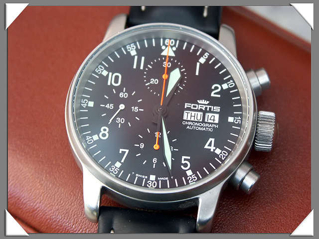 Fortis Flieger1b