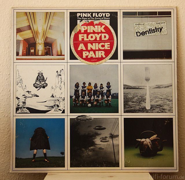 2013img3355pinkfloydani