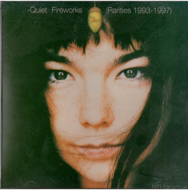 Bjrk Quiet Fireworks