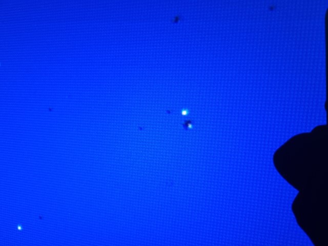 20220123 104842 (Klein)