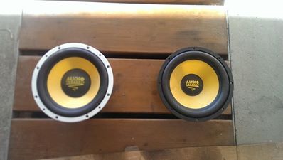 Audio System Woofer