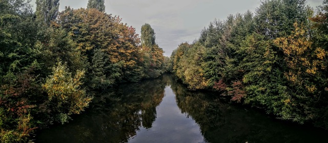 Frth - Stadtwald