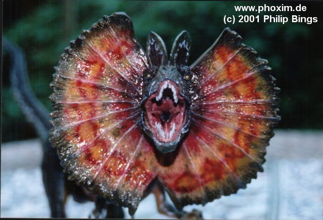 Philip Bings Dilophosaurus1