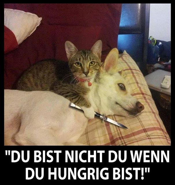 Du_bist_nicht_du