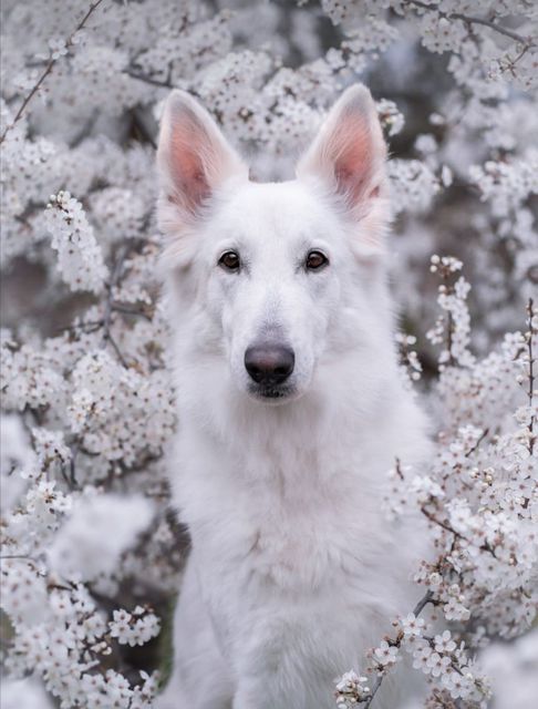 Freya & Blüten