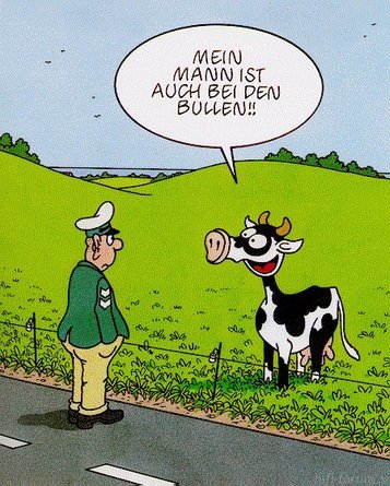 Mein Mann Ist Auch Bei Den Bullen