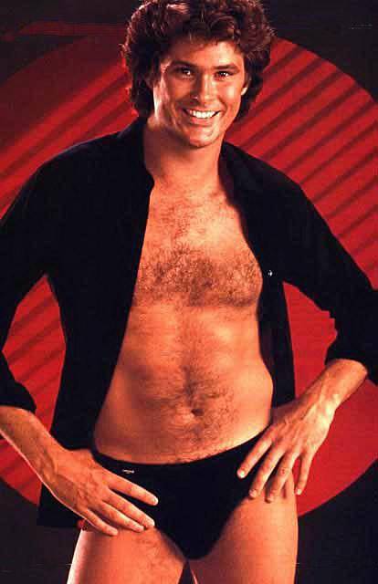 749134-david_hasselhoff