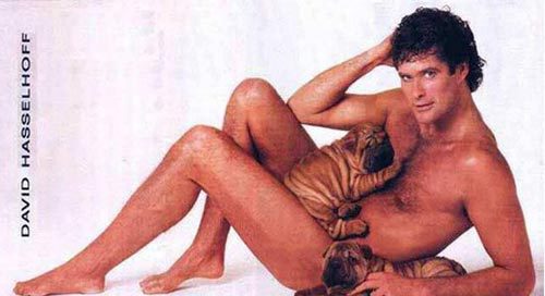 hasselhoff-vienna