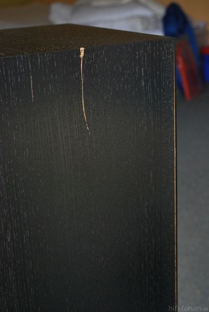 DSC 0296