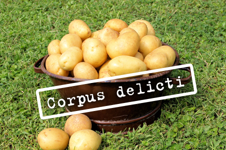 Corpus Delicti Kartoffeln