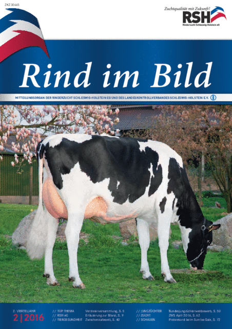 Csm RiB 02 16 724807bbac