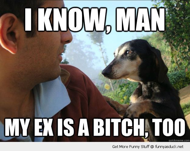 Funny Consoling Canine Dog Paw Mans Shoulder I Know Man My Ex Bitch Too Pics