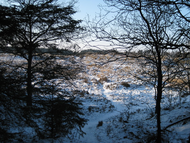 IMG 1241   (2)