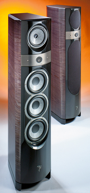 Focal Klein Frei