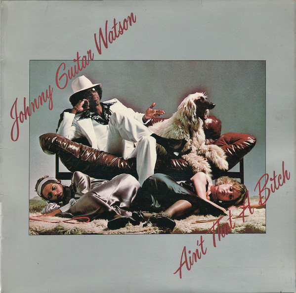 Johnny Guitar Watson - Aint`t That A Bitch, DJM Records, DJF 20485, UK 1976