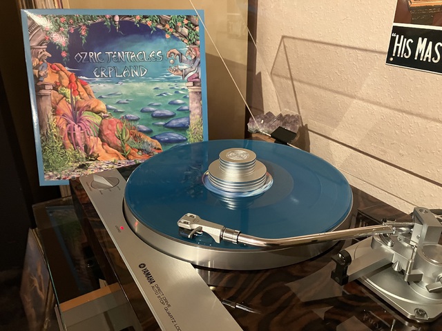 Ozric Tentacles – Erpland