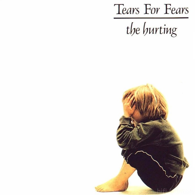 Tears For Fears   The Hurting 