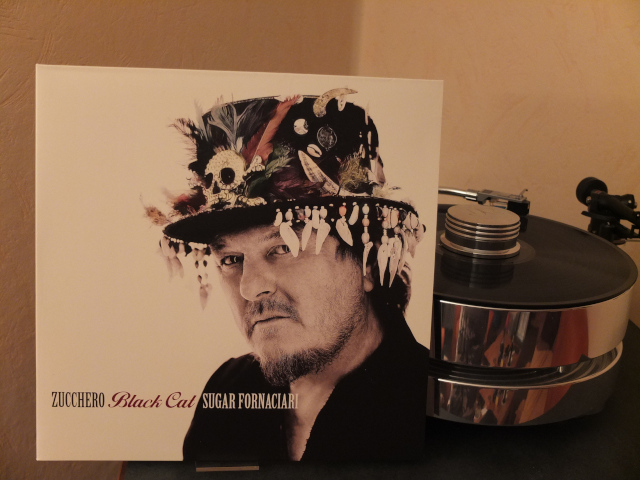 Zucchero - Black Cat