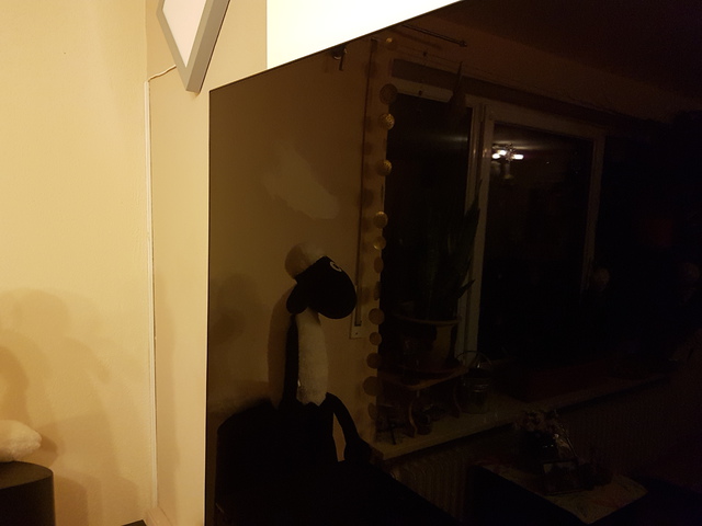 Schatten/Fleck oben links
