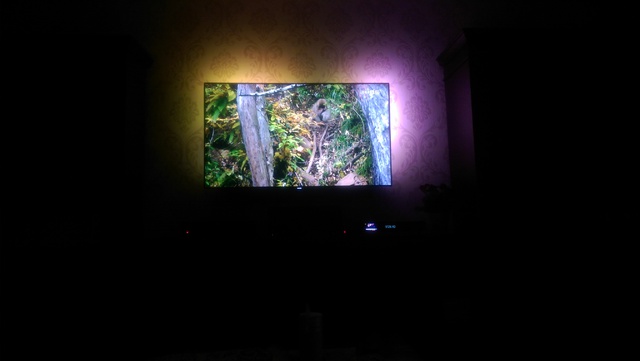 ambilight pus7600