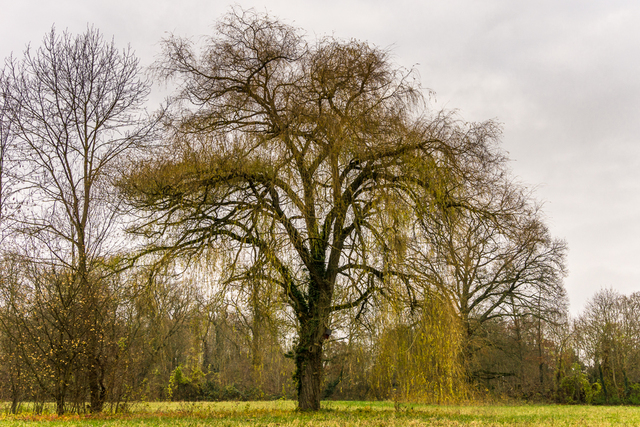 20141206-DSC00038-unbenannte Fotosession