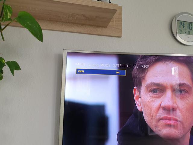 Bild 1 (25)