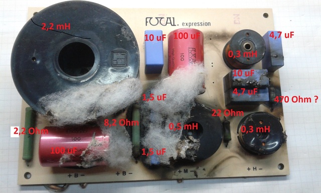 Focal Expression Weiche (3)